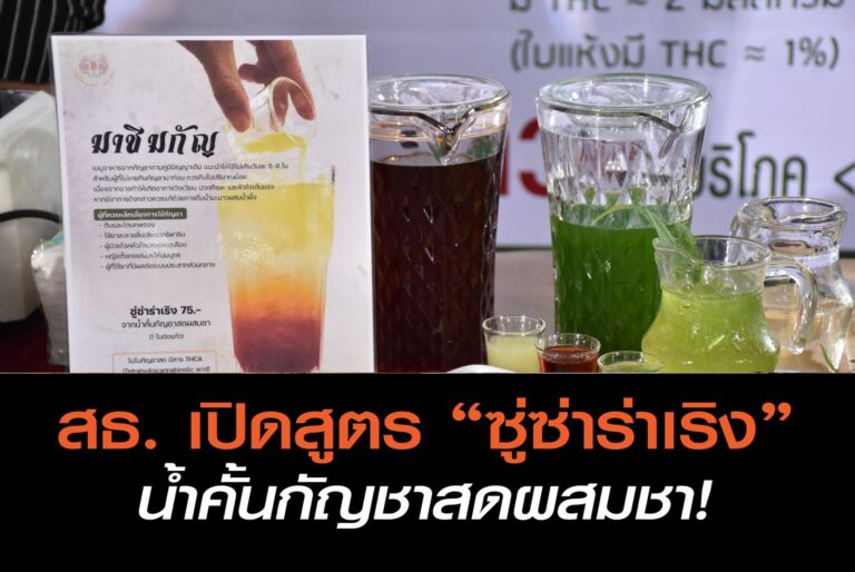 สธ. เปิดสูตร “ซู่ซ่าร่าเริง” น้ำคั้นกัญชาสดผสมชา! แนะกินแต่น้อย วันละไม่เกิน 5 ใบ